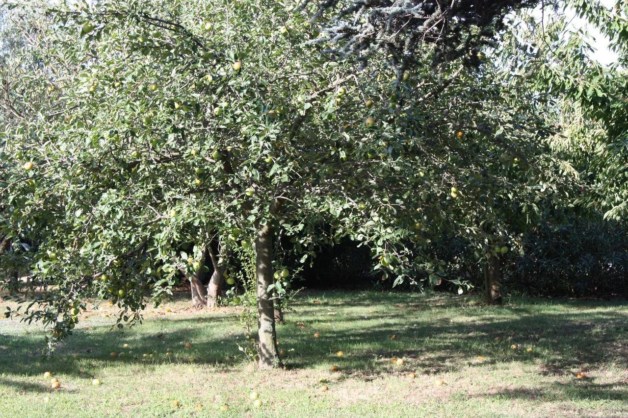 La Villa Blanc (Adults Only) Conques-sur-Orbiel Buitenkant foto